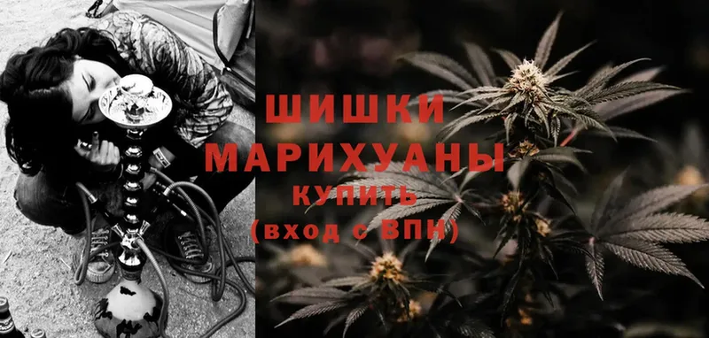 Шишки марихуана White Widow  Правдинск 